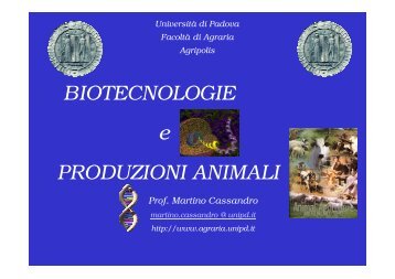 BIOTECNOLOGIE e PRODUZIONI ANIMALI - Università degli Studi ...