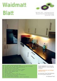 Waidmattblatt Nr. 38 (Dez. 2009) - Baugenossenschaft Waidmatt