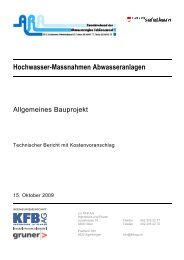 Technischer Bericht mit Kostenvoranschlag - araschoenenwerd.ch
