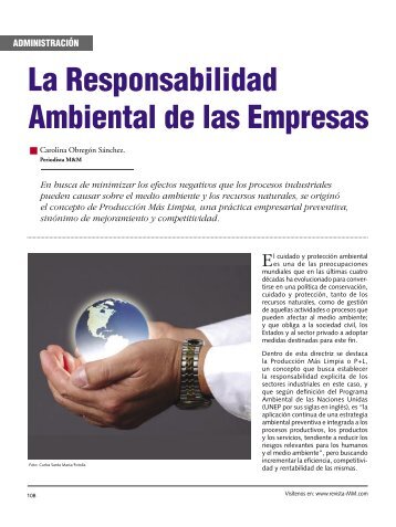 La Responsabilidad Ambiental de las Empresas - Revista El Mueble ...