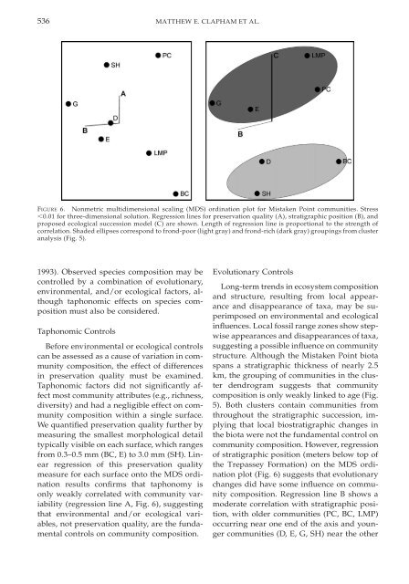 Paleoecology of the oldest known animal communities: Ediacaran ...