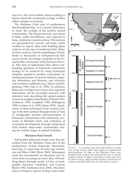 Paleoecology of the oldest known animal communities: Ediacaran ...