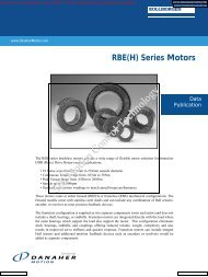 RBE DDR Servo Motors - SIE Motion Control Technology