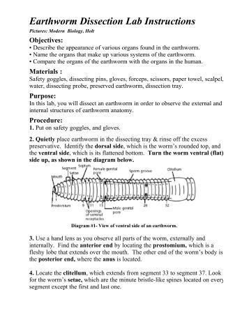 earthworm dissection lab 30 1 starfish dissection lab 75 points earthworm dissection lab 30 1 starfish dissection lab 75 points