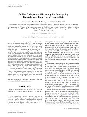 In Vivo Multiphoton Microscopy for Investigating Biomechanical ...