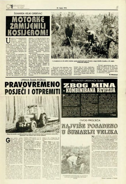 HRVATSKE ŠUME 36 (20.6.1994.)