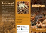 On the edge of extinction Geocrinia brochure - South West ...