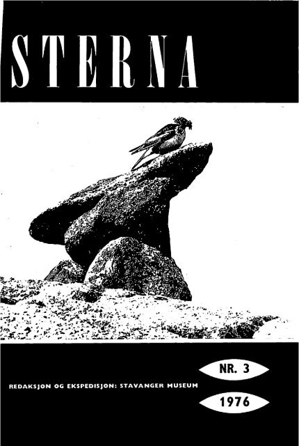 Sterna, bind 15 nr 3 (PDF-fil) - Museum Stavanger