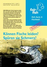 KÃ¶nnen Fische leiden? SpÃ¼ren sie Schmerz? - Fair Fish