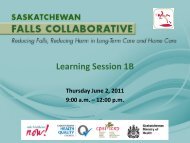 SK Falls - Learning Session 1B - Safer Healthcare Now!