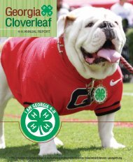 Summer Camp Georgia 4 H