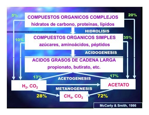 TRATAMIENTO ANAERÓBICO