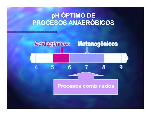 TRATAMIENTO ANAERÓBICO