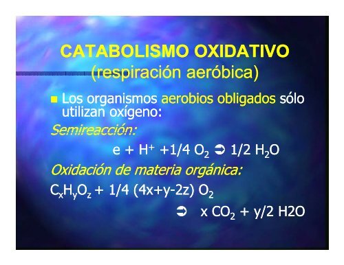 TRATAMIENTO ANAERÓBICO