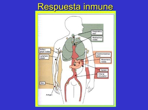 MÃ³dulo 3 - Medic.ula.ve - ULA