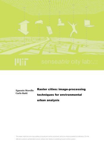 Raster cities - MIT SENSEable City Lab