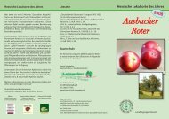 Ausbacher Roter - Pomologen-Verein eV