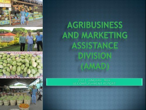 AGRIBUSINESS AND MARKETING ASSISTANCE DIVISION (AMAD)
