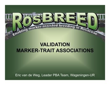 VALIDATION MARKER-TRAIT ASSOCIATIONS - RosBREED