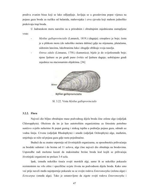 Doktorski rad - FSB - SveuÄiliÅ¡te u Zagrebu