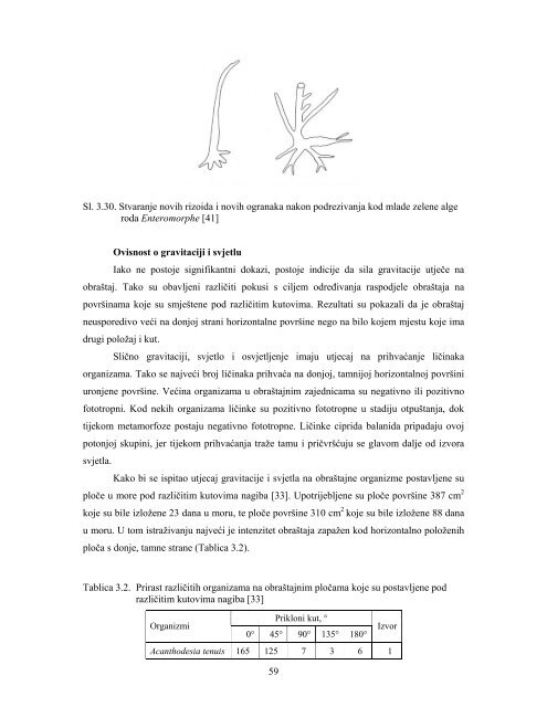 Doktorski rad - FSB - SveuÄiliÅ¡te u Zagrebu