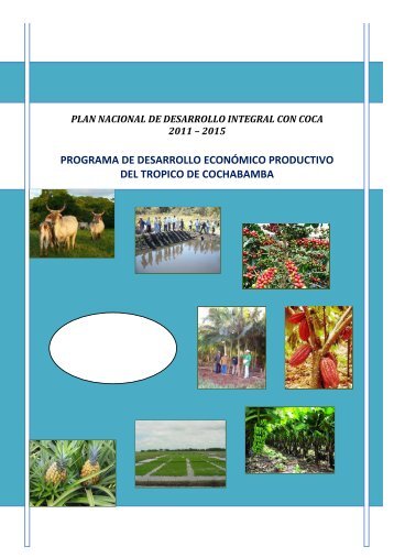 programa de desarrollo econÃ³mico productivo del tropico de ...