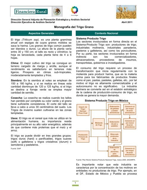 Monografía del Trigo Grano - Financiera Rural