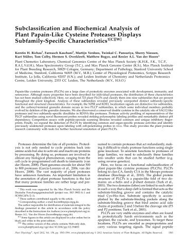 Subclassification and Biochemical Analysis of Plant Papain-Like ...