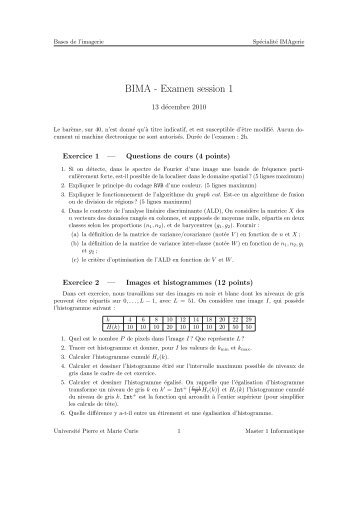 BIMA - Examen session 1 - IA