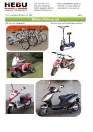 Elektro-Fahrräder - HEBU-Gmbh