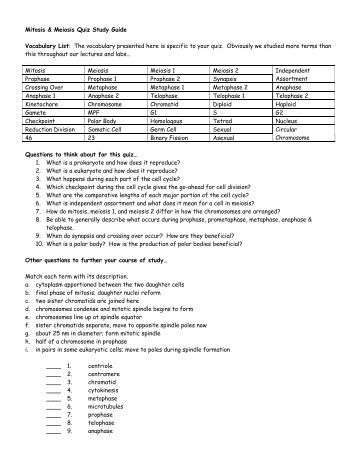 Chapter 13: Meiosis Reading Guide KEY TERMS meiosis gametes