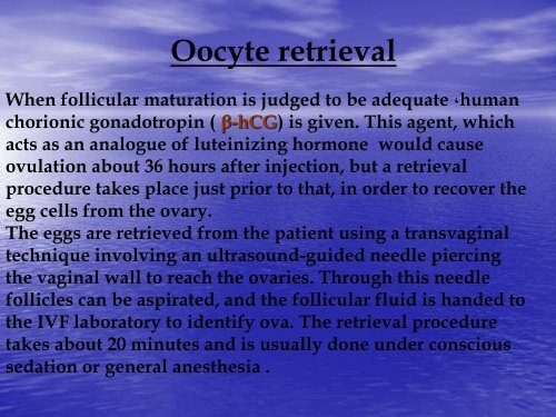 In vitro fertilisation supervised by Dr.Ali Alhussaini Dr. Sausan Talib