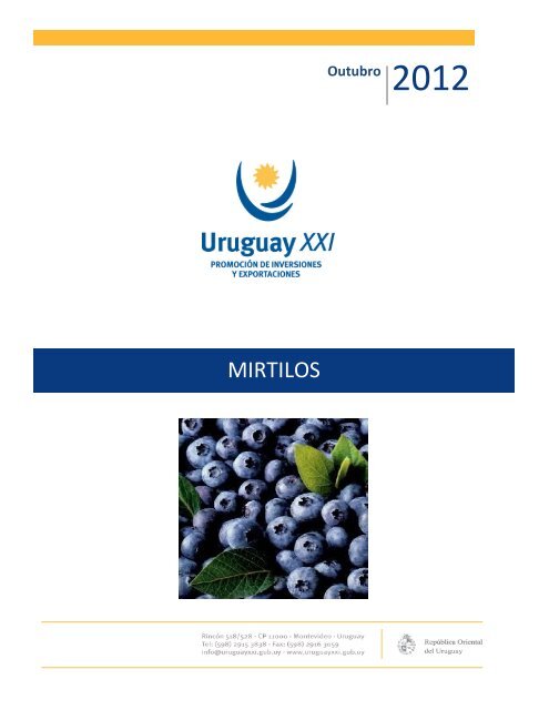 MIRTILOS - Uruguay XXI