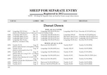 SHEEP FOR SEPARATE ENTRY Dorset Down