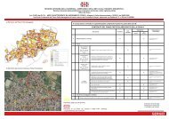 Determinazione centro matrice pag.2.pdf - Comune di Gergei