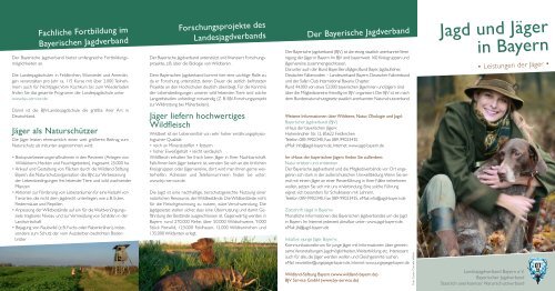 Jagd und Jäger in Bayern - Landesjagdverband Bayern