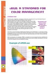 sRGB: A Standard for Color Management - NEC SpectraView