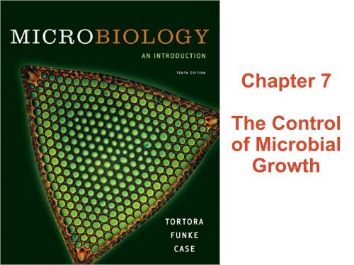 Chapter 7 The Control of Microbial Growth