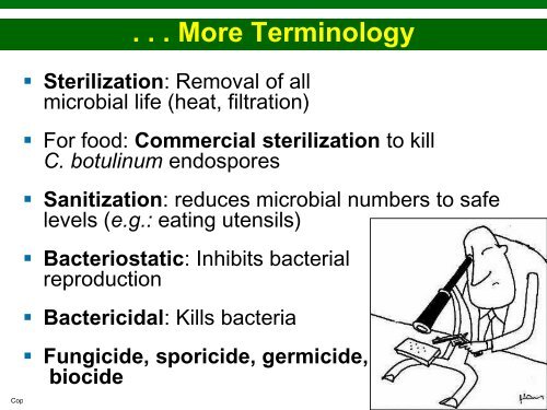 Chapter 7 The Control of Microbial Growth