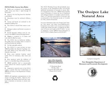 brochure - New Hampshire Division of Forests and Lands