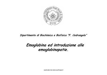 Emoglobina ed introduzione alle emoglobinopatie. - SunHope.it