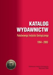 Katalog wydawnictw PIG w latach 1994-2003 - PaÅstwowy Instytut ...