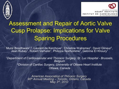 Assessment and Repair of Aortic Valve Cusp Prolapse: Implications ...