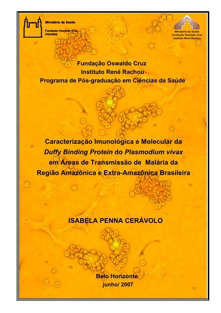 pérdida de peso médica palm harbor fl