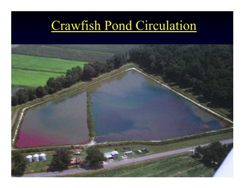 Crawfish Culture - NCAquaculture.org