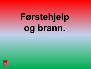 Grunnleggende fÃƒÂ¸rstehjelpskurs.pdf