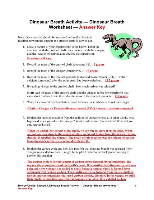 Carbon Cycle Worksheet Answers