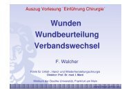 Wundbeurteilung und Verbandswechsel Stand 11 2011 - FINeST