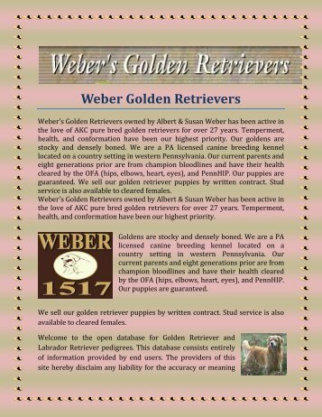 Weber Golden Retrievers