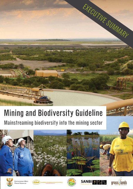 Mining and Biodiversity Guideline Executive Summary